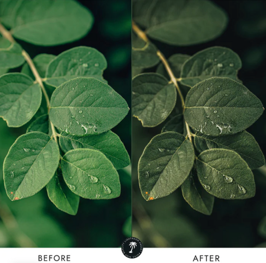 NATURE Preset Collection